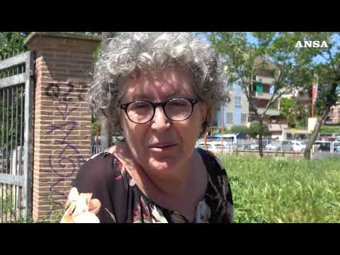 Cinghiali in citta’ e peste suina, l’ordinanza della Regione Lazio nei parchi di Roma