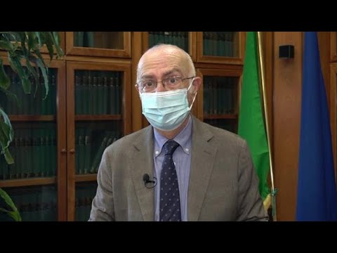 Vaiolo delle scimmie, Rezza: «Si trasmette per contatto diretto. I focolai in genere si…