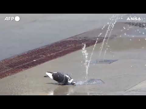 Prima ondata di calore dell’anno, l’apice nel weekend con 35-36 gradi