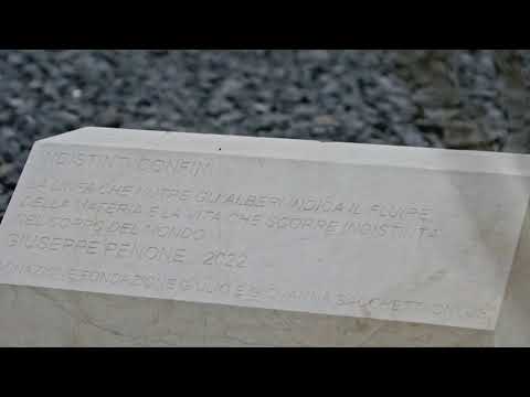 L’installazione di Penone per le vittime del Covid a Bergamo diventa un documentario