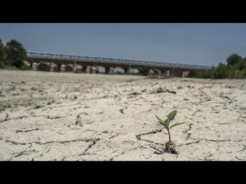 Siccità, l’emergenza continua: le ragioni della crisi e le richieste delle Regioni