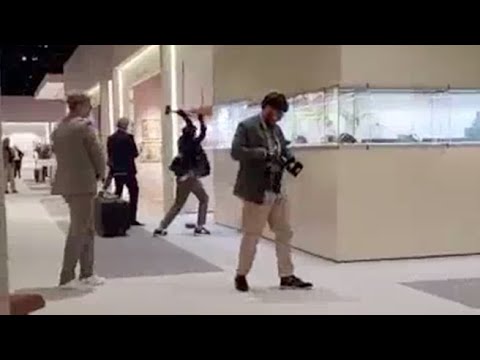 Rapina alla Fiera d’arte Tefaf: uomini armati hanno spaccato le vetrine