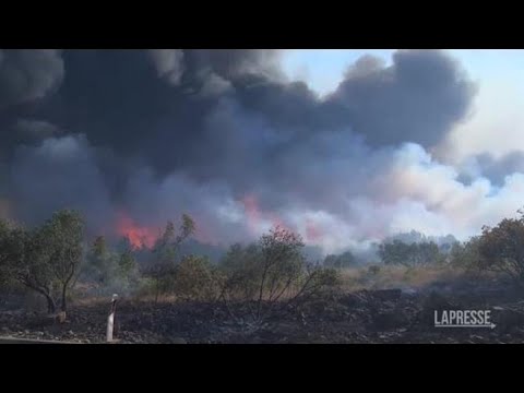 Emergenza Croazia: incendi devastano la costa adriatica, a Vodice le fiamme hanno raggiunto le…