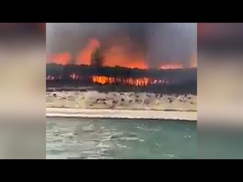 Incendi in Francia: Gironda brucia, le fiamme alte decine di metri viste dal mare