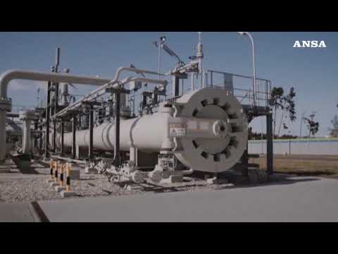 Putin-Erdogan, faccia a faccia in Iran sul grano