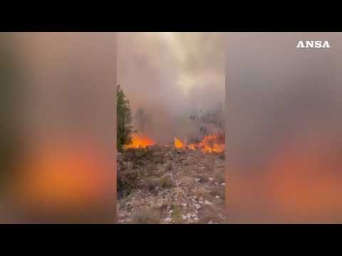 Incendio Carso, i vigili del fuoco difendono le case dalle fiamme