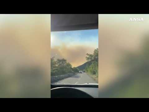 Incendio Carso, Regione Friuli: “Al momento bassi livelli di pm10”