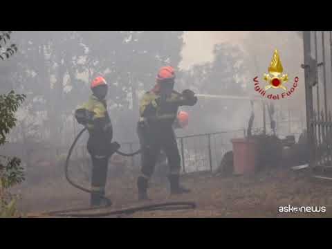 Incendi sul Carso e in Versilia, 200 vigili del fuoco impegnati