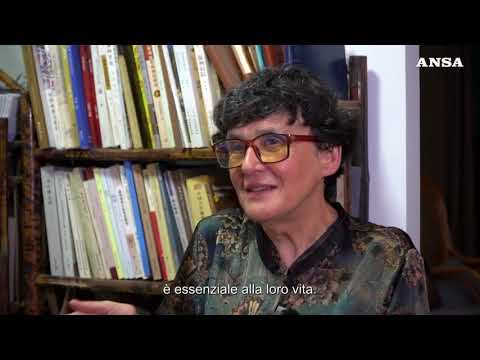 Italia-Cina: sinologa incoraggia scambi tra i due Paesi