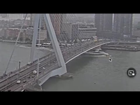 Olanda, scontro tra due imbarcazioni sul fiume Nieuwe Maas di Rotterdam