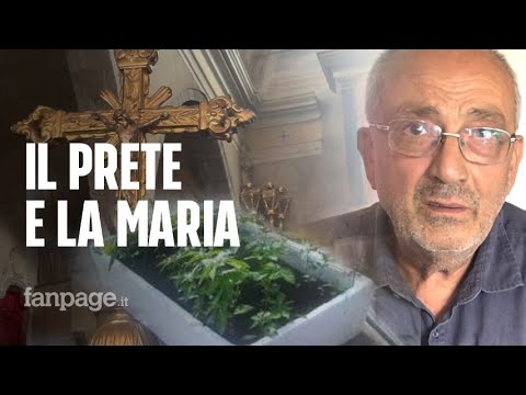 Don Giuseppe sospeso e denunciato: “Volevo solo regalare le mie piantine di cannabis legale online”