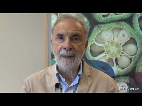 Remuzzi: mangiare bene è importante anche per salute pianeta