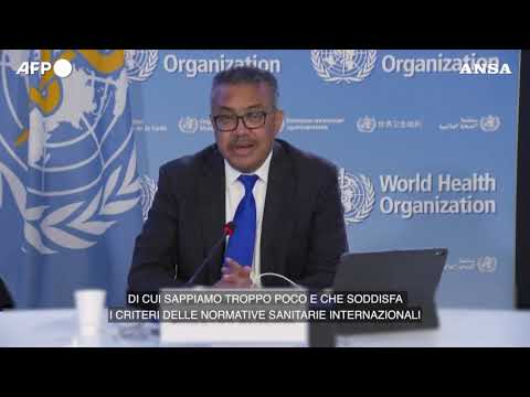 Vaiolo delle scimmie, l’Oms: “Emergenza sanitaria internazionale”