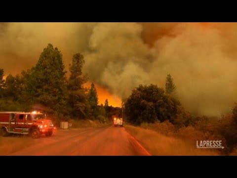 Usa, bruciati oltre 3000 ettari vicino Yosemite Park in California: le impressionanti immagini…