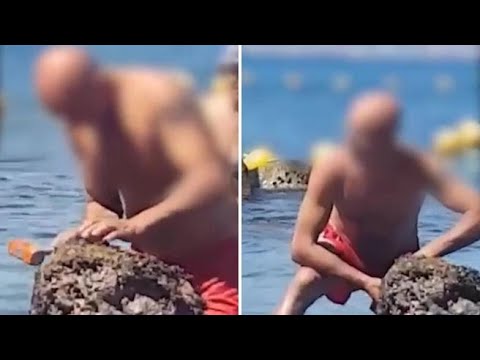 Castellammare, prende a martellate un masso e porta via i datteri di mare