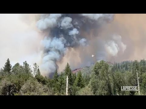 California, fiamme ancora fuori controllo allo Yosemite Park