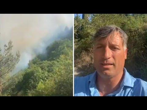 Incendio in pineta nel Foggiano, figlio del sindaco preoccupato per gli animali: «Papà, ma anche…