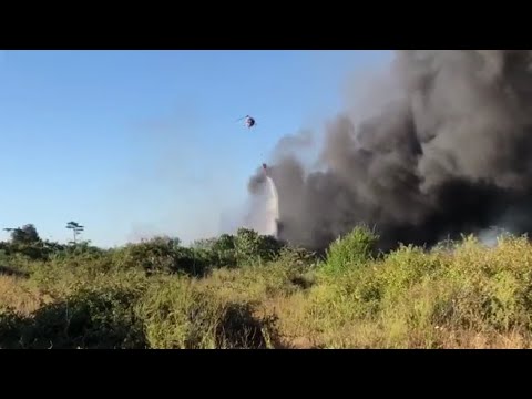 Incendio Roma, vigili del fuoco al lavoro per domare le fiamme