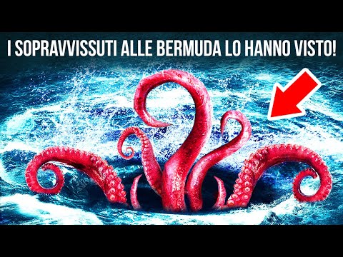Creature Giganti Potrebbero Affondare Le Navi nel Triangolo delle Bermuda