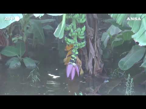 Alluvioni in Pakistan, il destino di migliaia di persone dipende da una diga che ha 90 anni