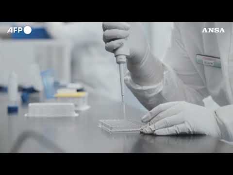 Nuovi vaccini per il Covid, atteso l’ok di Ema e Aifa