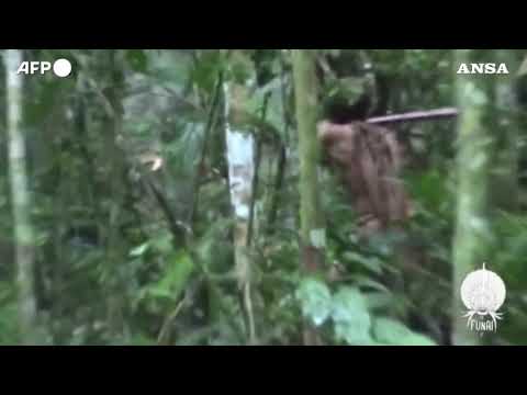 Morto in Brasile l’Uomo della buca, simbolo del genocidio indigeno