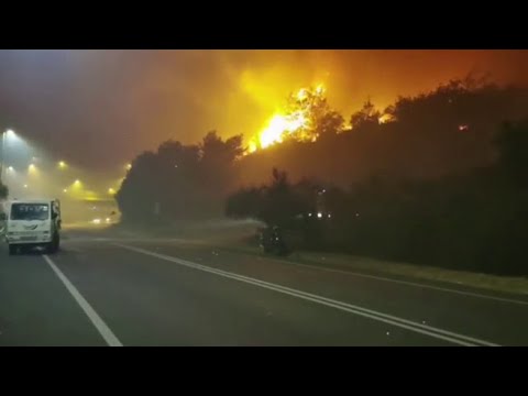 Incendio nel savonese: notte da incubo ad Albenga. Le fiamme minacciano le case, abitanti…