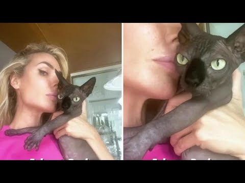 Ilary Blasi, ecco il gatto Alfio di nuovo a casa con la sua padrona