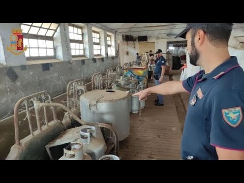 Casilino, aziende agricole fuori norma tra carcasse di animali morti e sporcizia