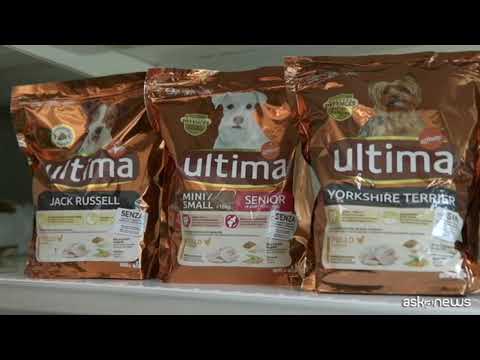 6 settembre, prima “Giornata Nazionale del Gattile” in Italia