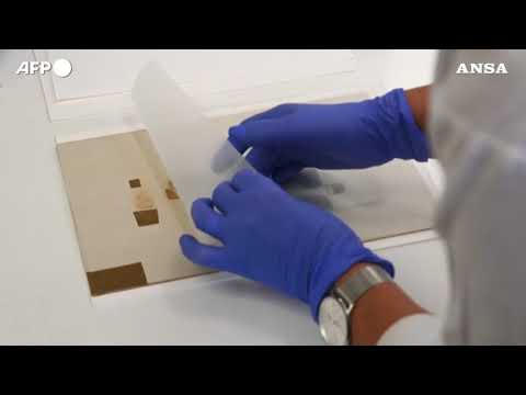 israele recupera un papiro ebraico di 2700 anni fa