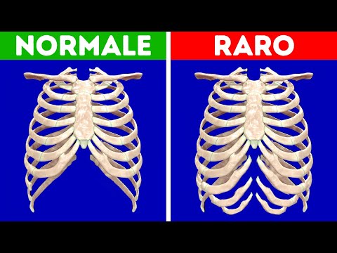 Indovina Se Queste Curiosità Sul Corpo Umano Sono Vere o False