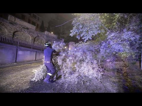 Roma, albero cade su via Trionfale nella notte e piega un lampione della luce