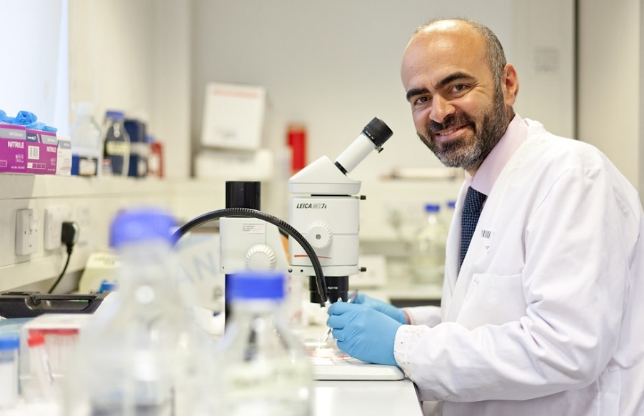 La ricerca italiana sulle cellule staminali