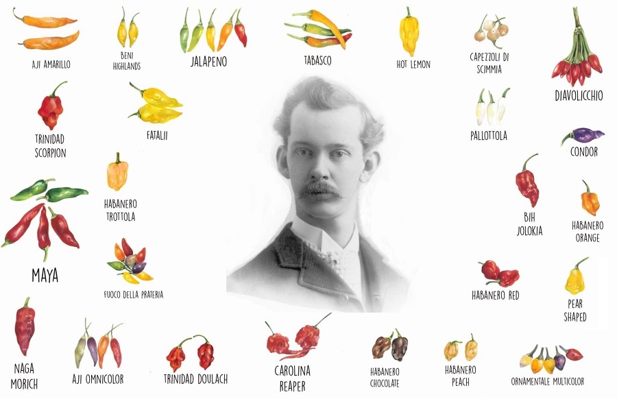 Wilbur Scoville