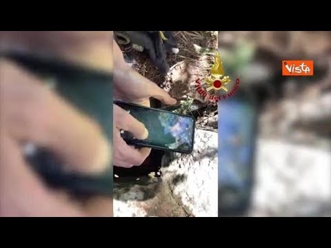 Cane cade in una grotta, salvato dai Vigili del Fuoco