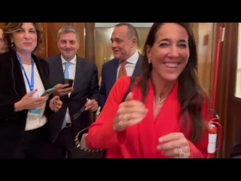 «Il blocco è sul suo nome? » e Licia Ronzulli non risponde