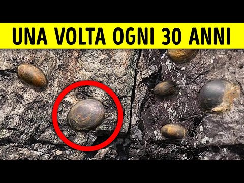 Il Mistero della Montagna che “Depone Uova”