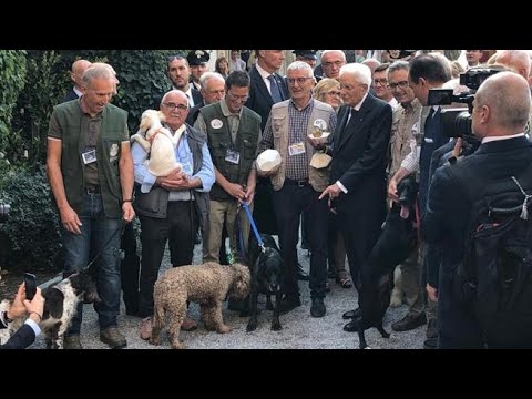Mattarella ad Alba saluta i trifulau e riceve in dono un tartufo da 100 grammi