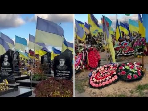 Decine di bandiere ucraine fissate dietro ogni lapide: il gesto di un cimitero in ricordo delle…