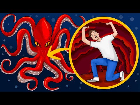 Cosa Succederebbe Se Il Kraken Ti Inghiottisse?