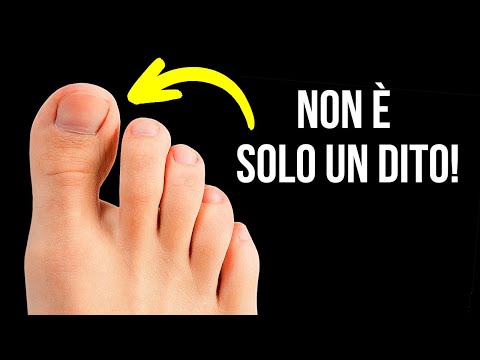 26 Oggetti che Hanno Più Funzioni Oltre a Quella Principale