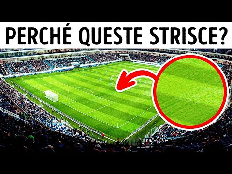Perché I Campi Da Calcio Sono A Strisce + 15 Altre Curiosità Sul Calcio