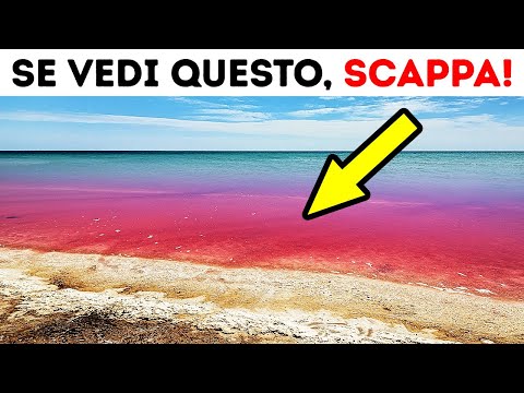 Se L’Oceano Diventa Rosso, dattela a gambe!
