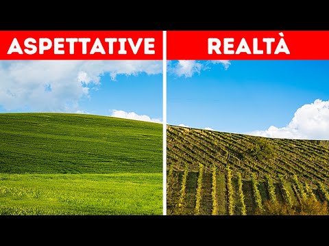 Quali Storie Celano Le Foto Più Famose Della Storia