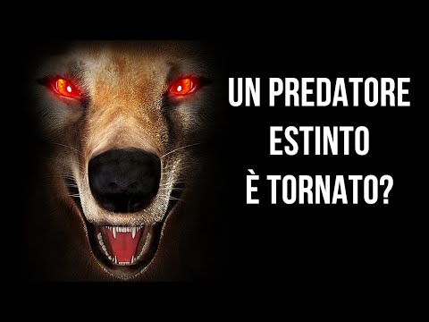 Perché La De-Estinzione È Impossibile (Ma Potrebbe Funzionare)