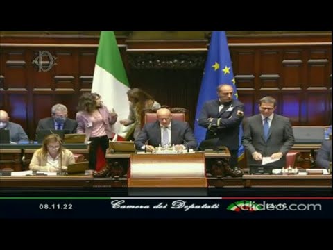 Rampelli (FdI): «Dispenser? No, in italiano si dice dispensatore»