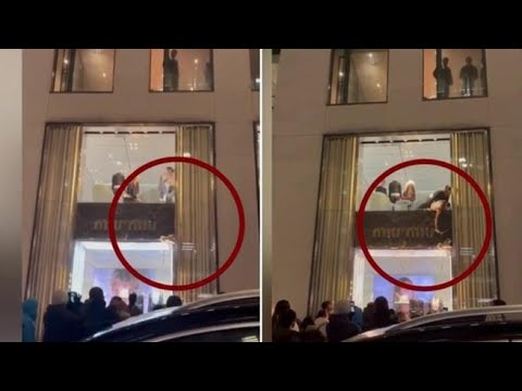 Cucciolo di cane rimane incastrato in una vetrina: salvato con una gruccia