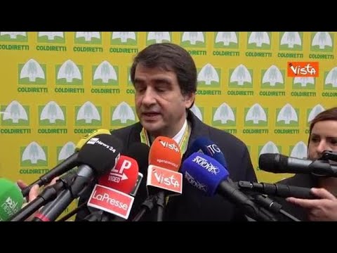 Fitto: “Sulla manovra ottimo lavoro del Governo che si è insediato solo due mesi fa”