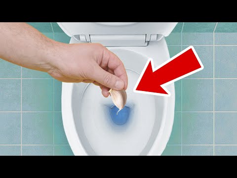 Metti l’Aglio nel Water Prima di Andare a Letto e Vedi che Succede